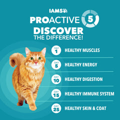IAMS Proactive Health with L-carnitine supports metabolism and energy.