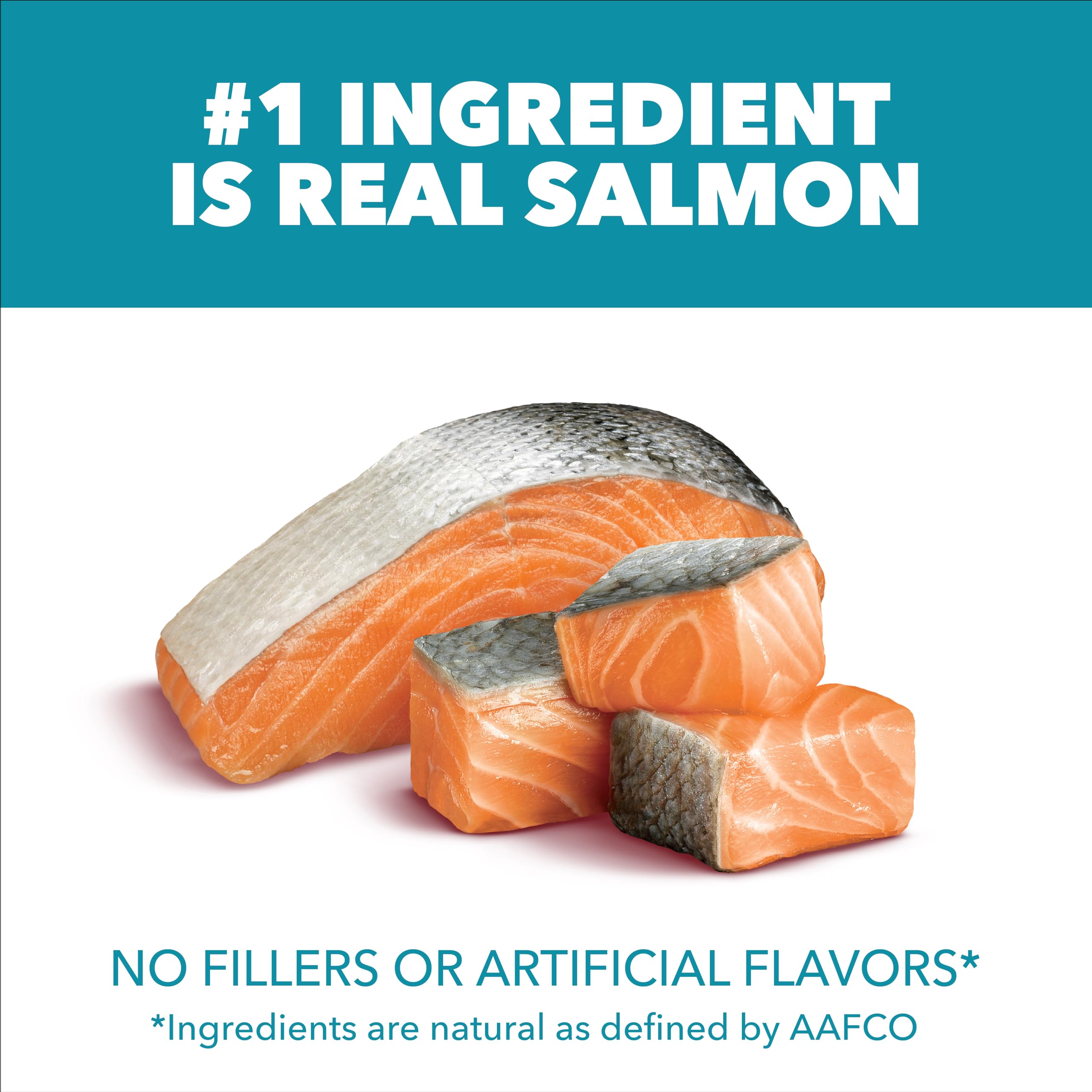 Closeup of IAMS Proactive Health salmon kibble for flavor and protein