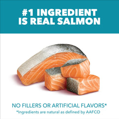Closeup of IAMS Proactive Health salmon kibble for flavor and protein