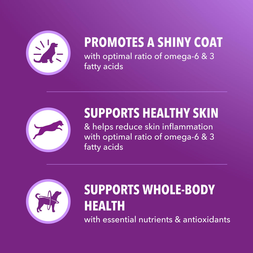 IAMS real chicken and salmon ingredients spotlight natural protein for strong muscles.