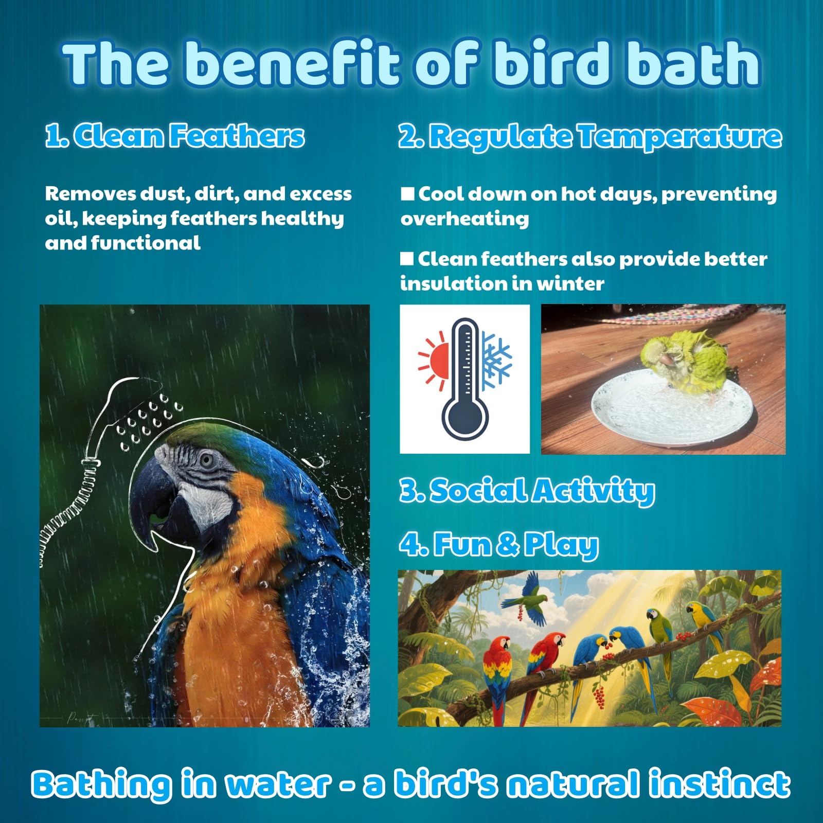 Ianjetty Bird Shower Bath green pipe design complements cage setup