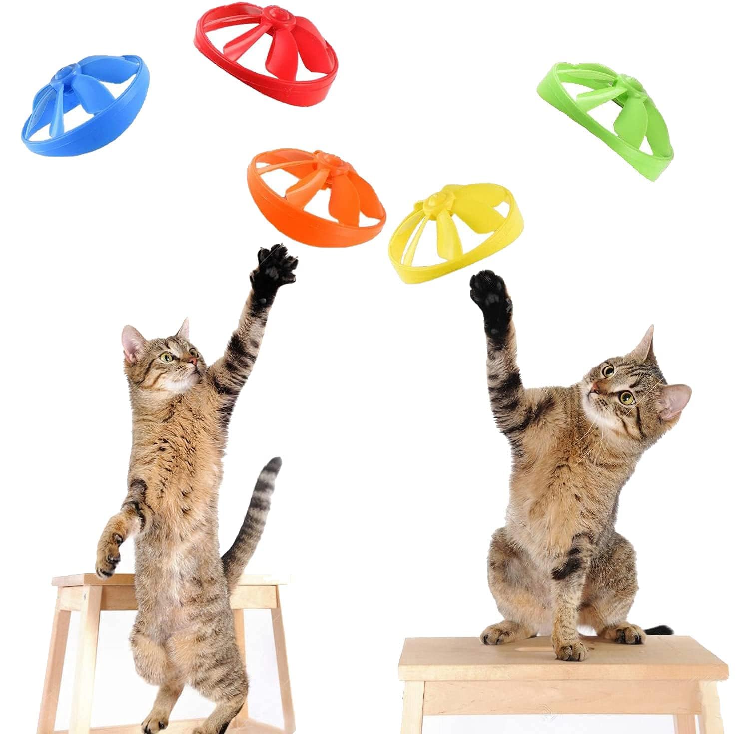 IAXSEE cat launcher blue set for safe hunting-inspired play.