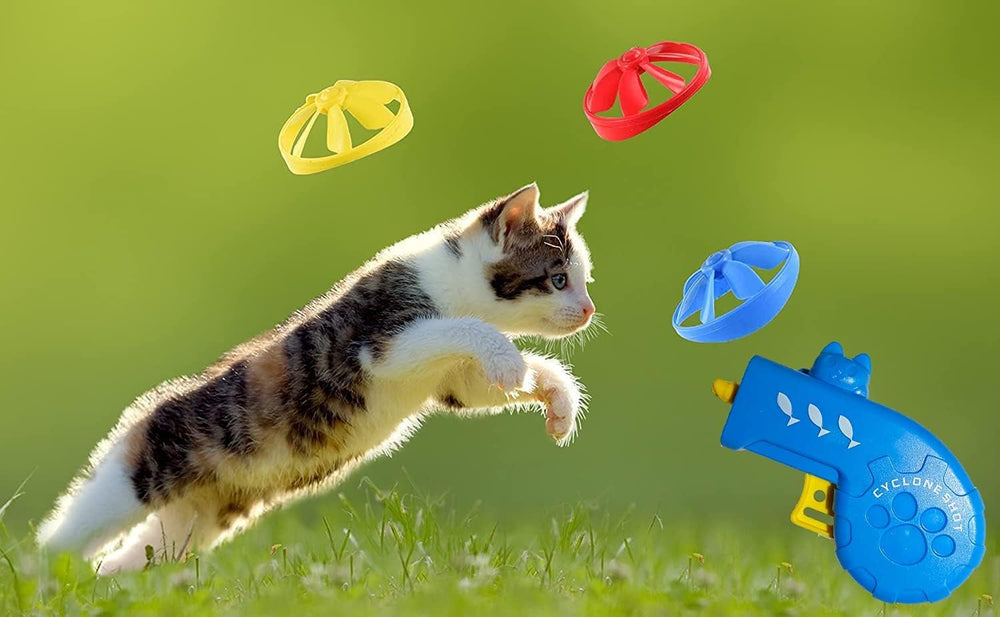 IAXSEE playtime package supports indoor and outdoor cats.