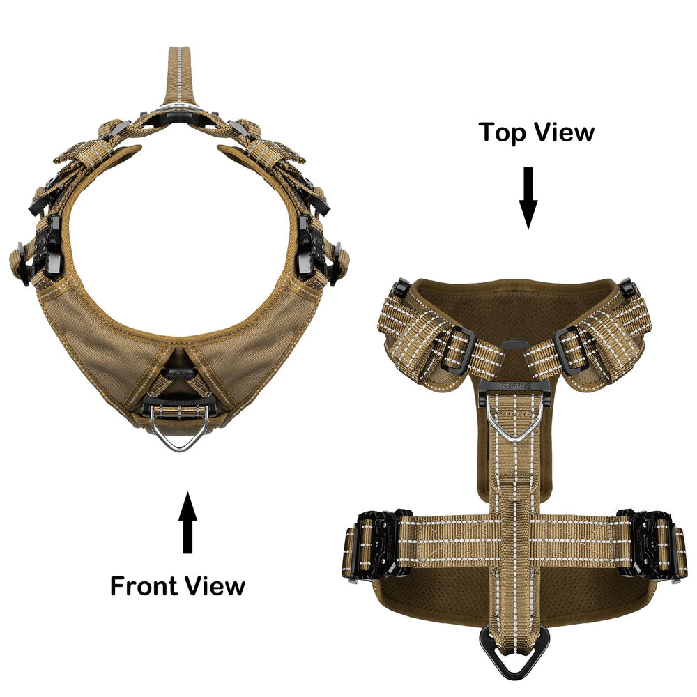 ICEFANG back-free panel design reveals fur while maintaining harness security