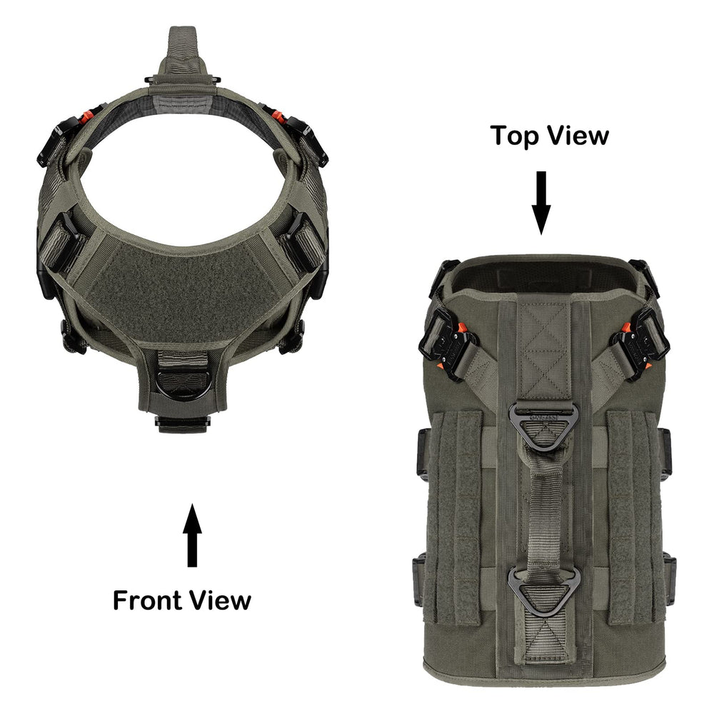ICEFANG GN3 back view featuring dual leash clips for versatile control.