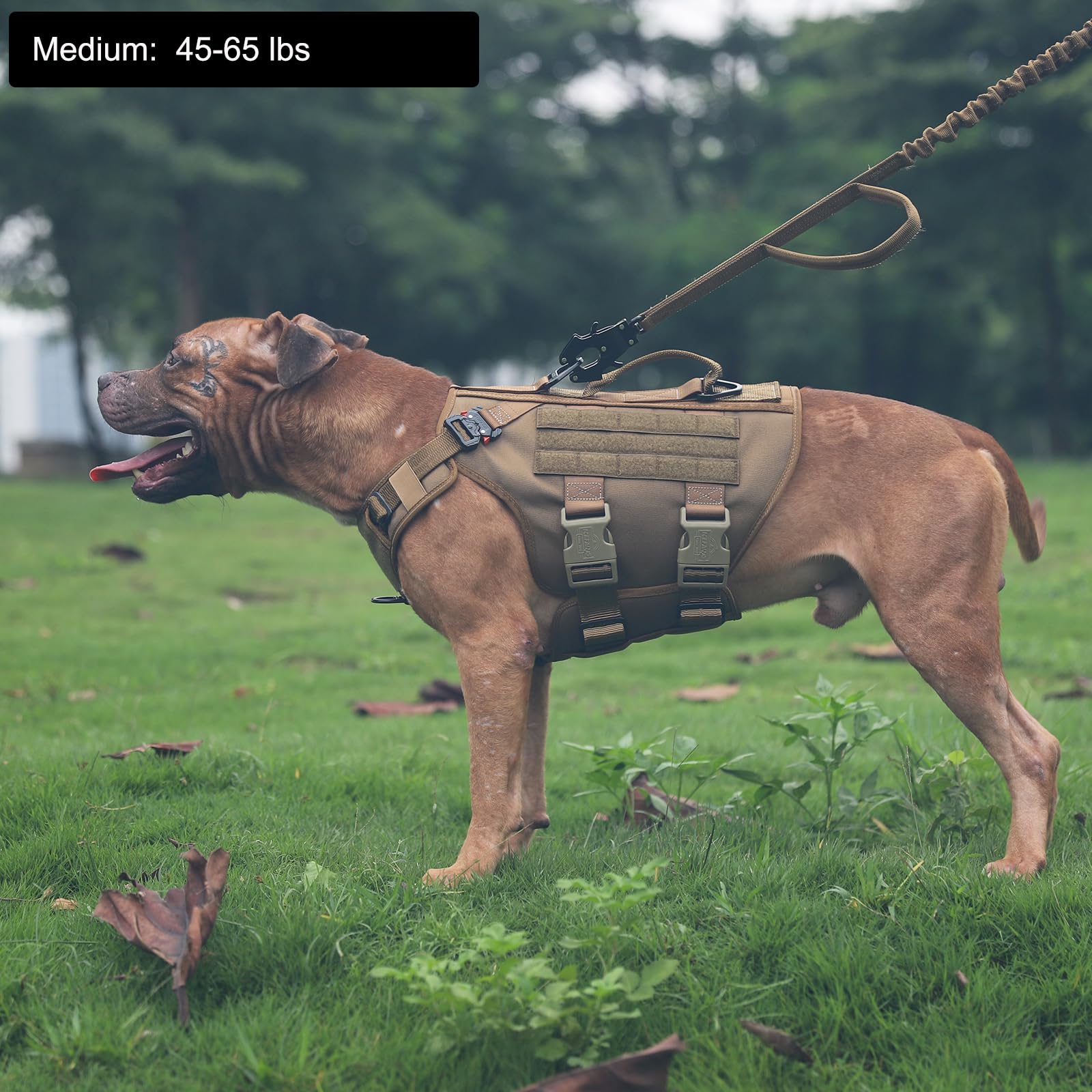 Icefang GN3 dog harness side view with MOLLE panel ready for gear