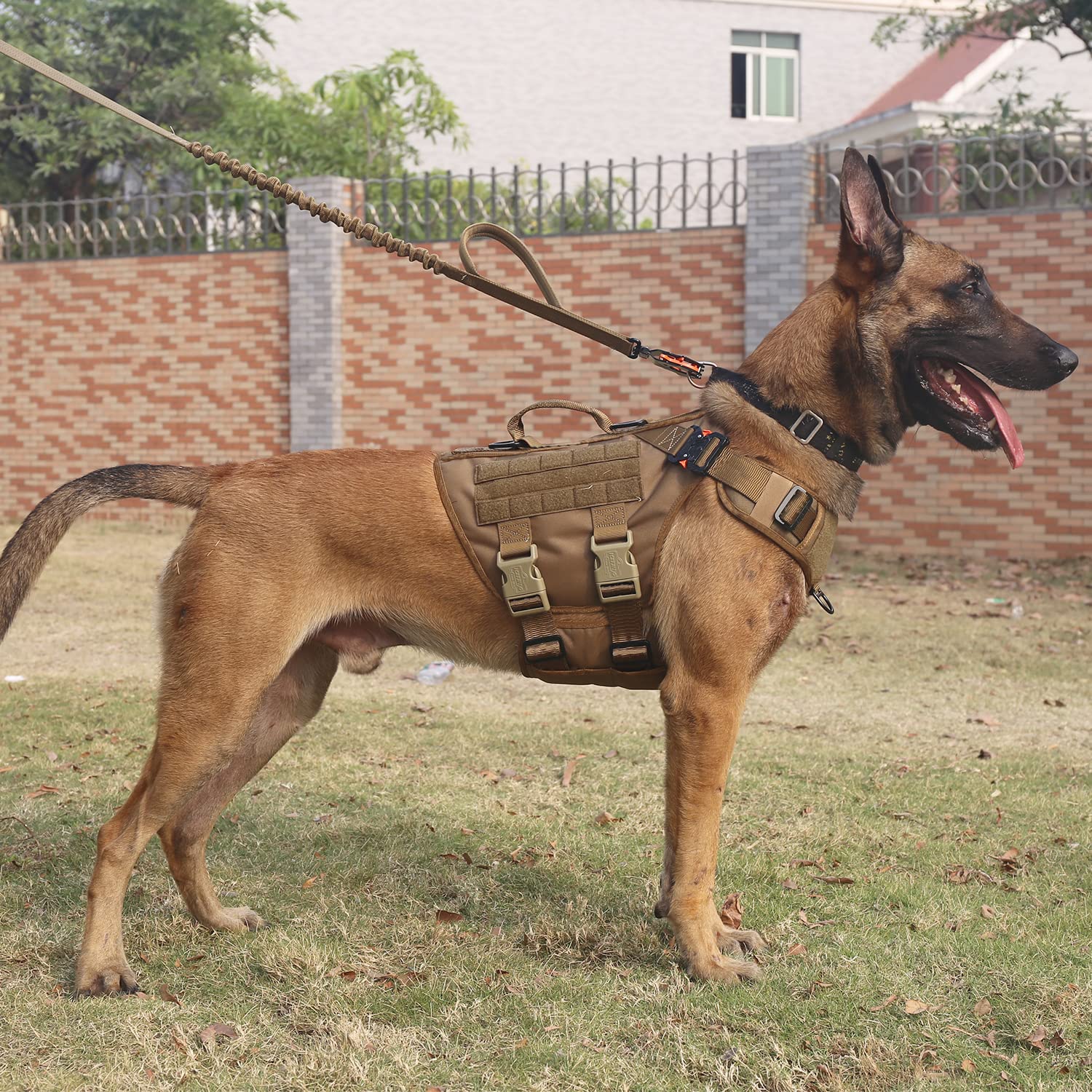 ICEFANG GN3 front clip harness enabling anti-pull control for calmer walks
