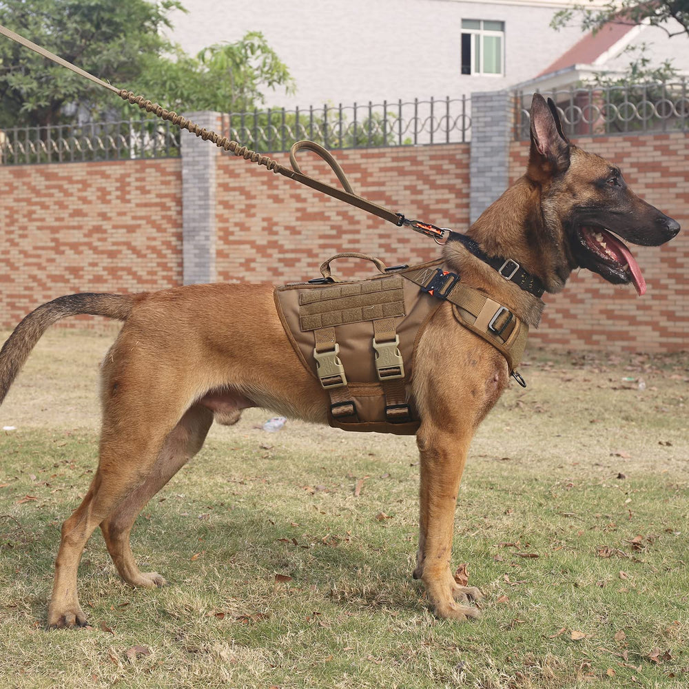 ICEFANG GN3 front clip harness enabling anti-pull control for calmer walks