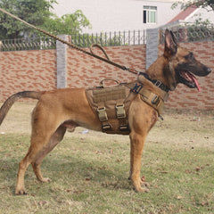 ICEFANG GN3 front clip harness enabling anti-pull control for calmer walks