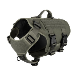 ICEFANG GN3 front view harness with quick-release buckles for easy on/off.
