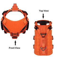 ICEFANG GN3 Molle/PALs area enables carrying gear on adventures.