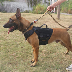 ICEFANG GN3 tactical dog harness side view highlighting MOLLE attachment points for gear.