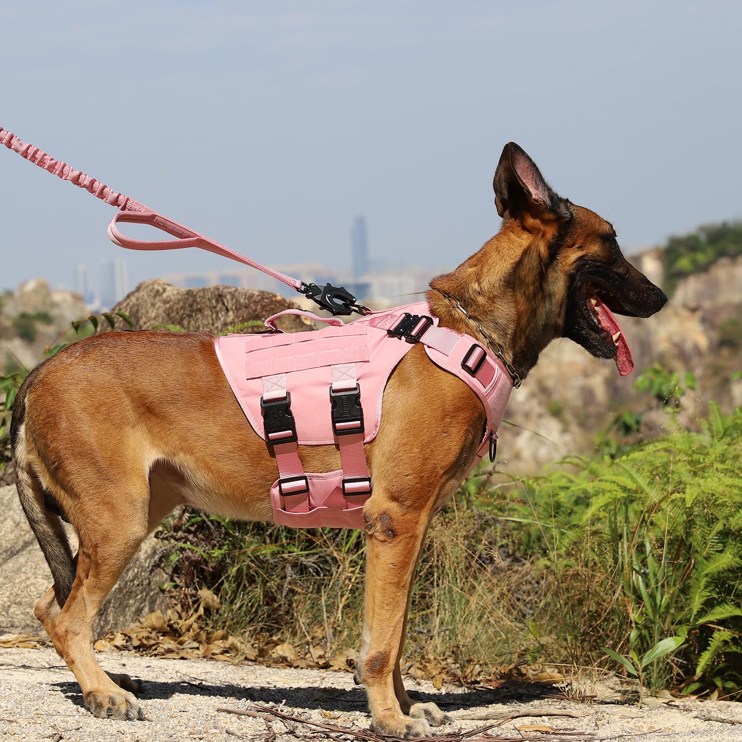 GN3 pink harness side view highlighting MOLLE panels for gear
