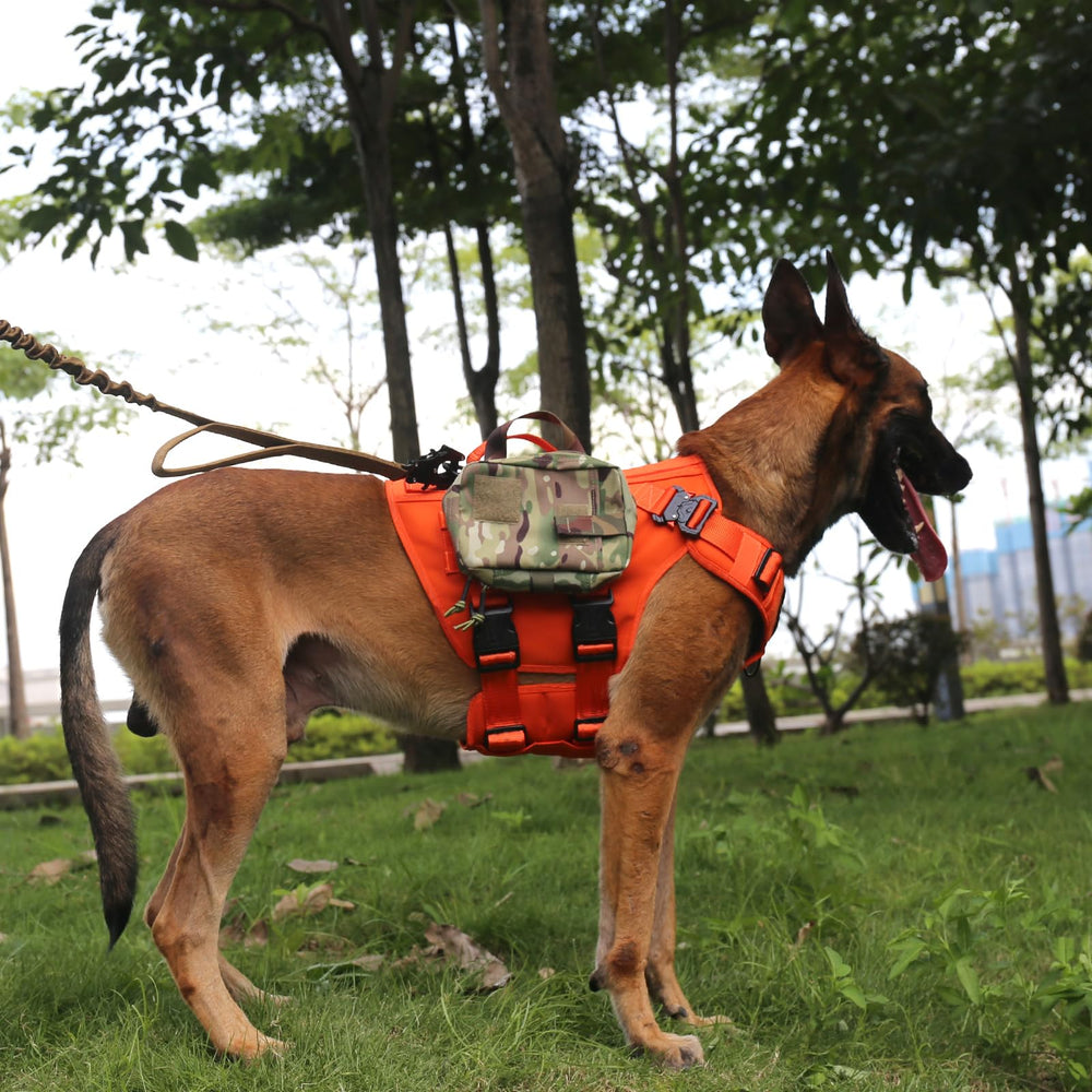 Front-clip design of ICEFANG GN3 helps redirect pulling during training.