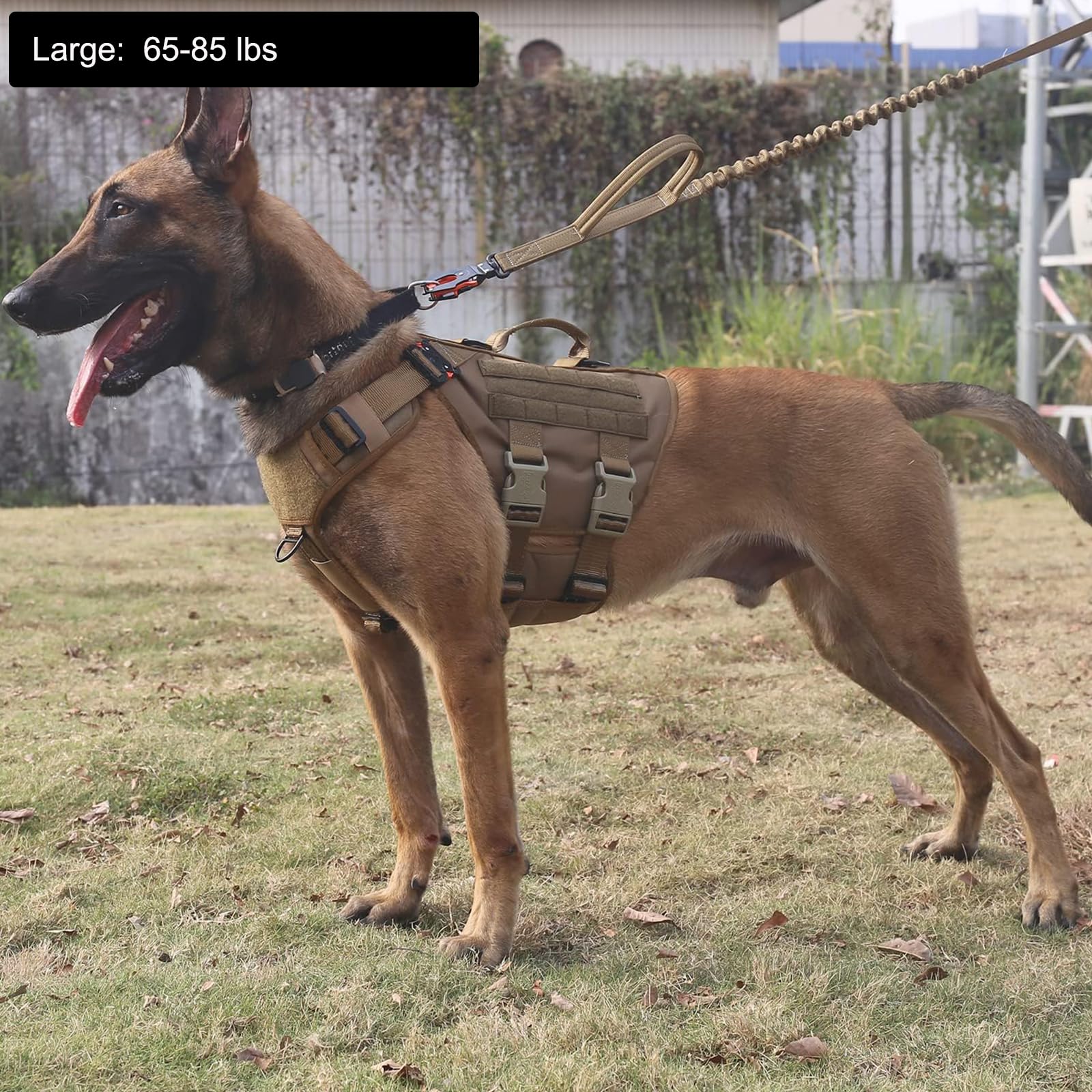 ICEFANG GN3 harness side view showing MOLLE panels for carrying gear during training