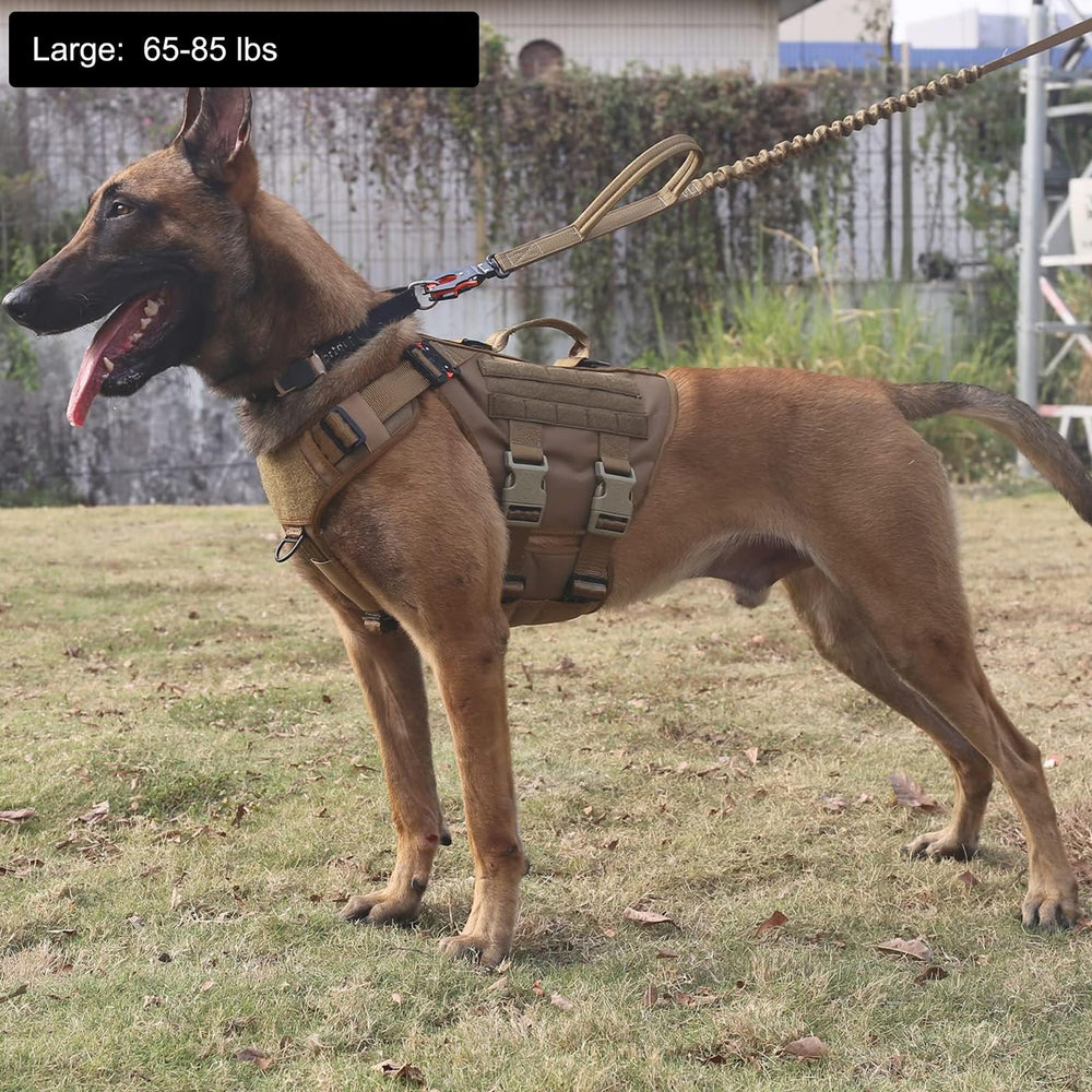 ICEFANG GN3 harness side view showing MOLLE panels for carrying gear during training