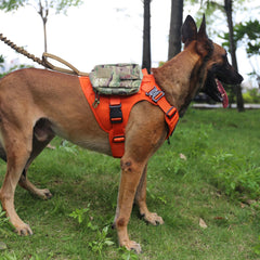 ICEFANG harness front view showing anti-pull D-ring for controlled walks.