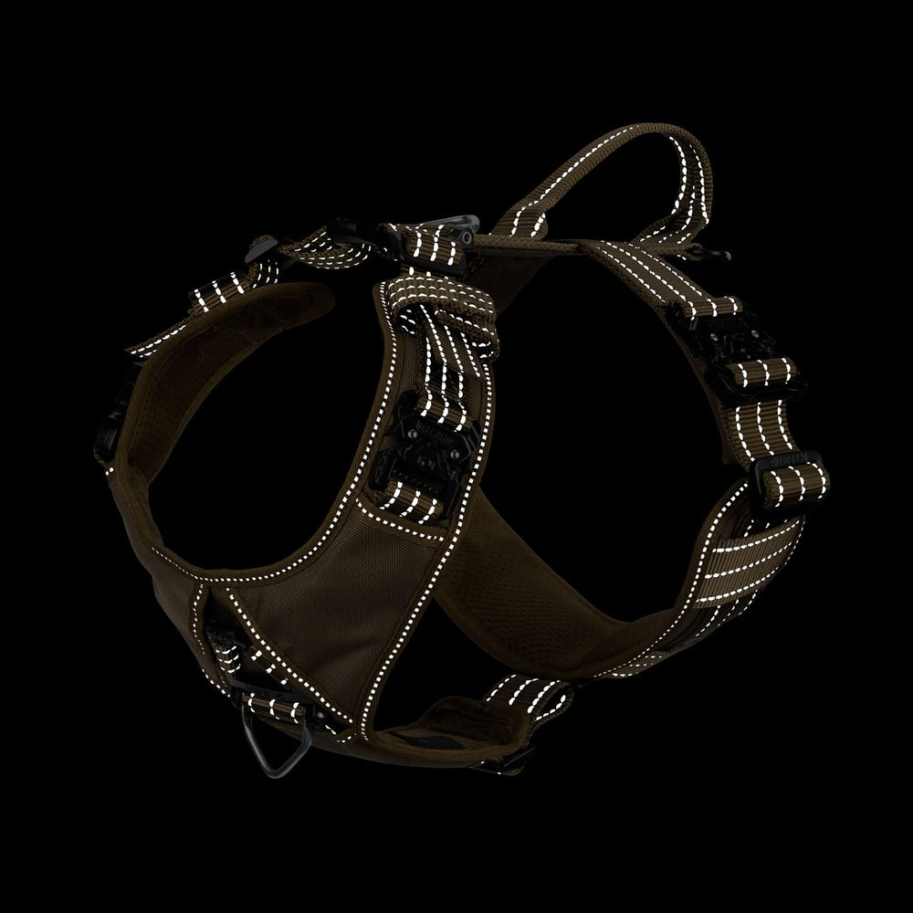 ICEFANG harness showing heavy-duty buckles and 2800N strength for confident restraint