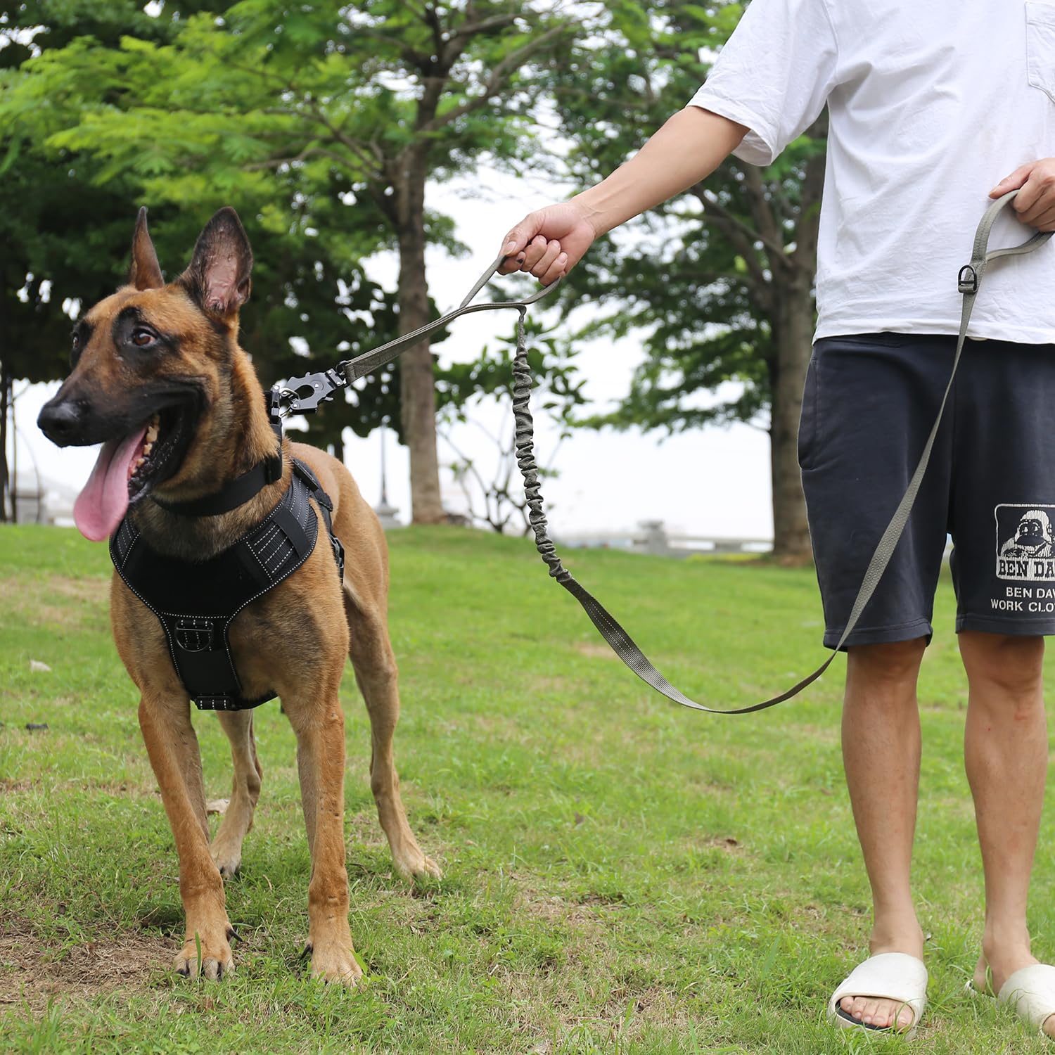 ICEFANG K9 training bungee lead with two handles for versatile handling.