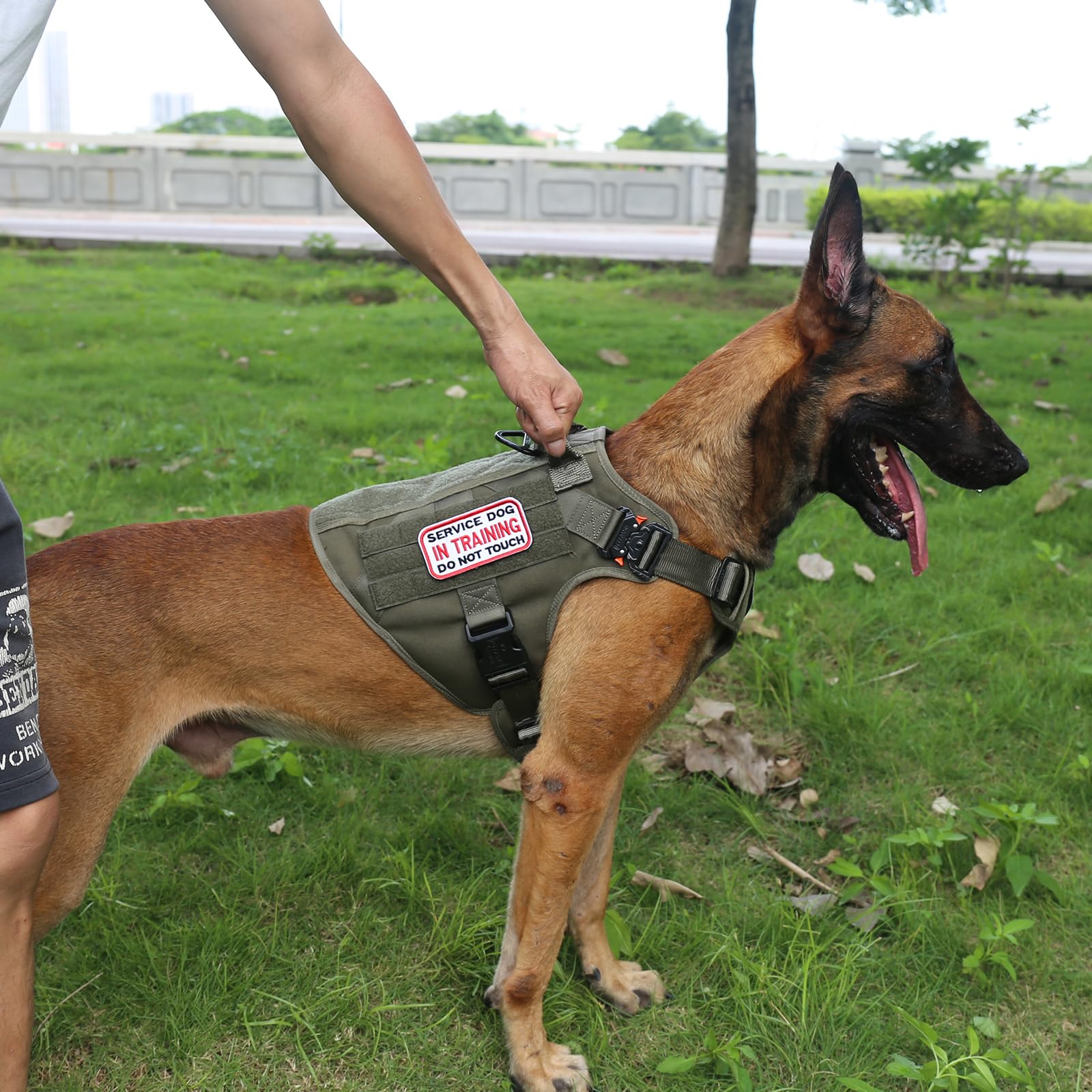 ICEFANG MOLLE-PALS compatible vest with side panels for carrying gear.