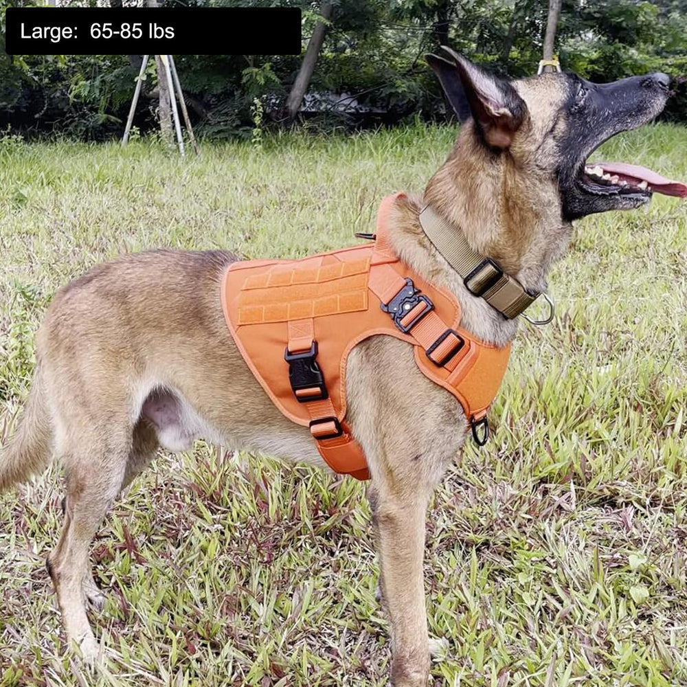 ICEFANG harness displaying 2 aluminum buckles for secure quick on/off.