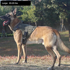 ICEFANG harness front no-pull clip guides a pulling dog calmly during walks.