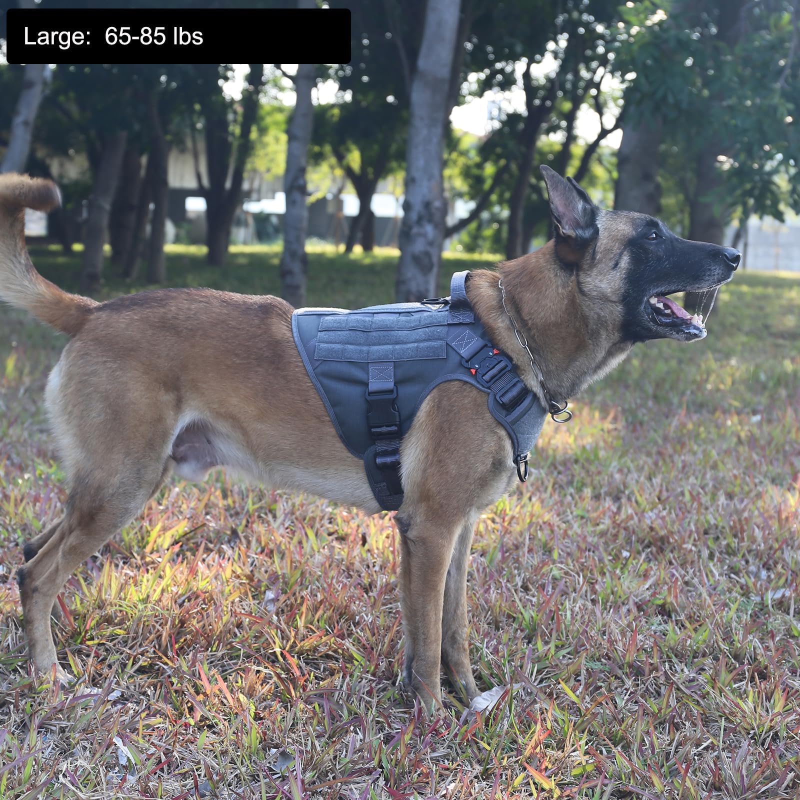 ICEFANG Tactical Dog Harness gray side view showing MOLLE panels for gear during training.