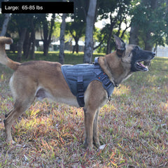 ICEFANG Tactical Dog Harness gray side view showing MOLLE panels for gear during training.