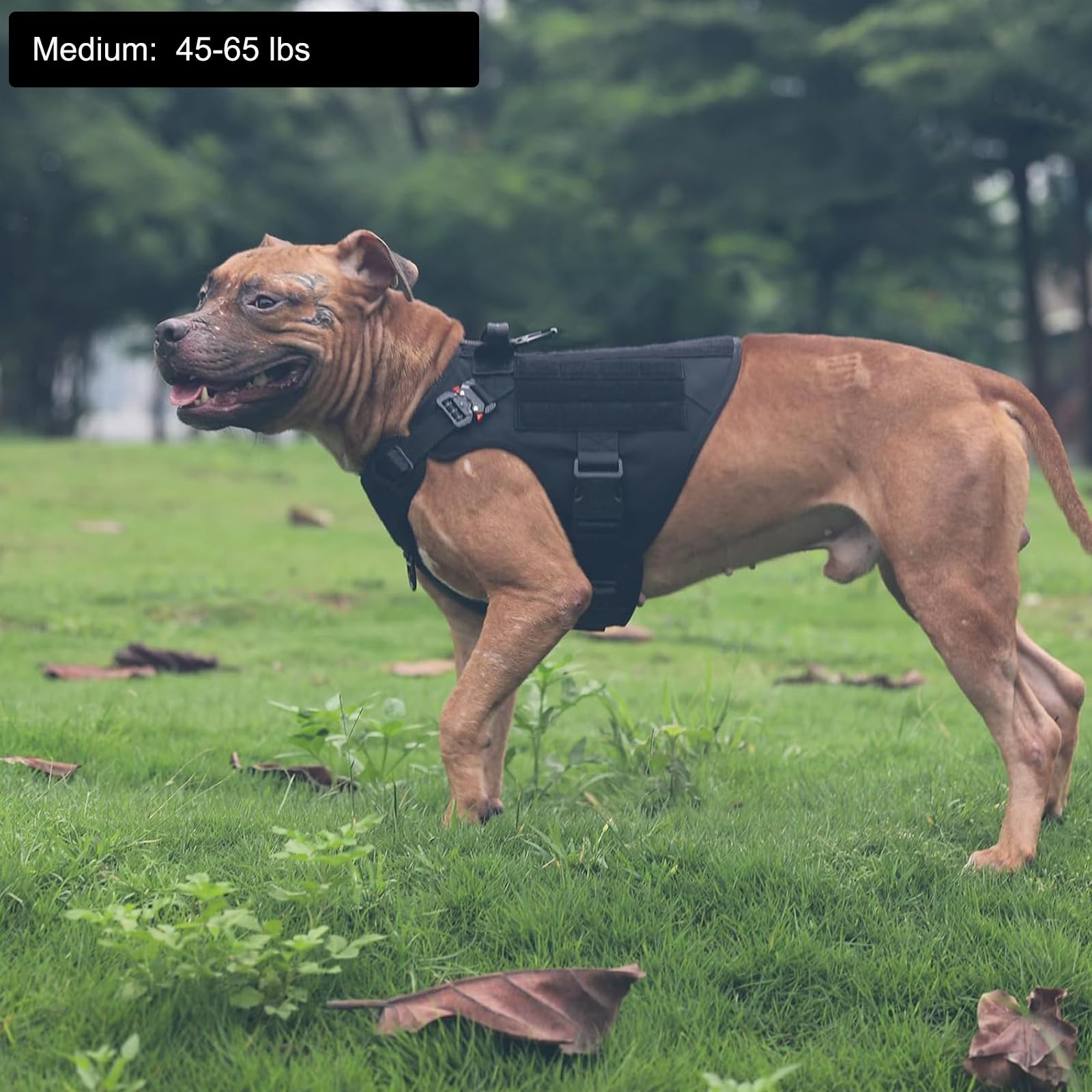 ICEFANG Tactical harness medium, side view with patches, enabling customization during training.