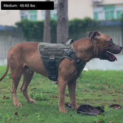 ICEFANG Tactical Dog Harness Medium, side view, supports secure training sessions and adventures.