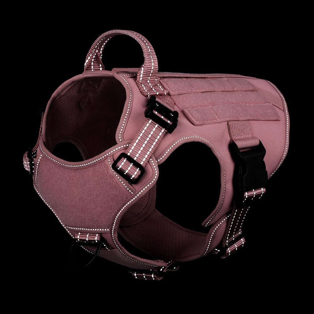 MOLLE-compatible straps expand gear options for water bottles and toys.
