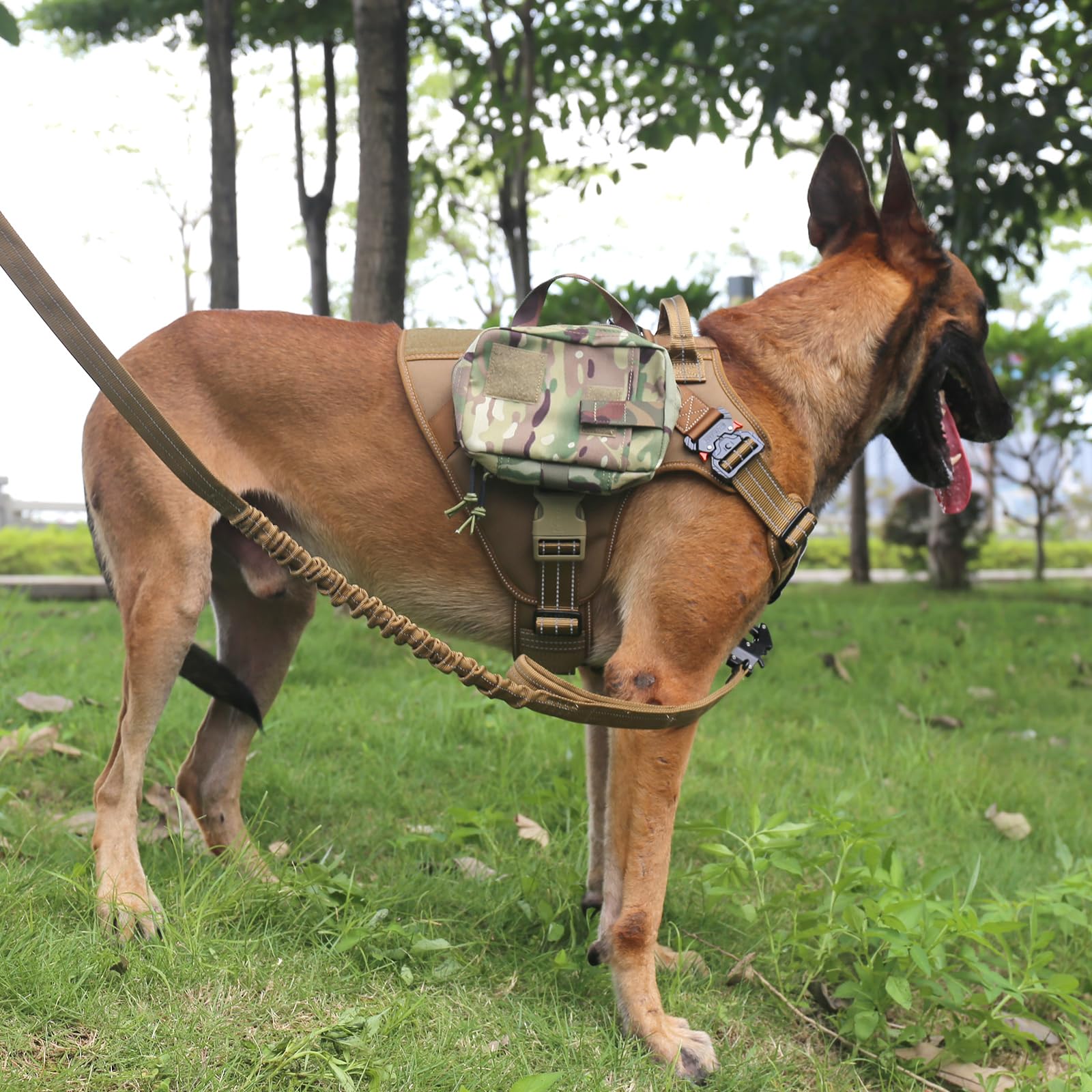 ICEFANG tactical dog harness neck buckle close-up showing secure fit.