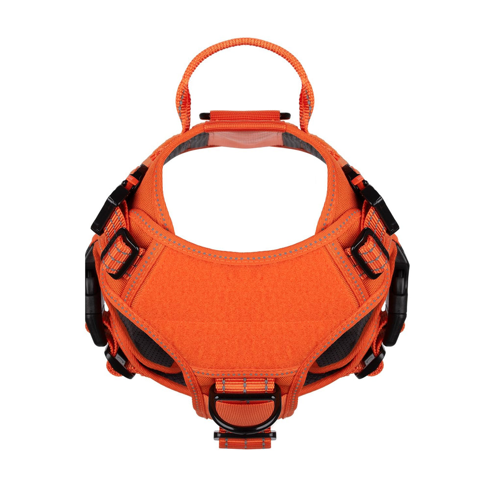 ICEFANG size-adjusted harness in orange ensures fit across activities.