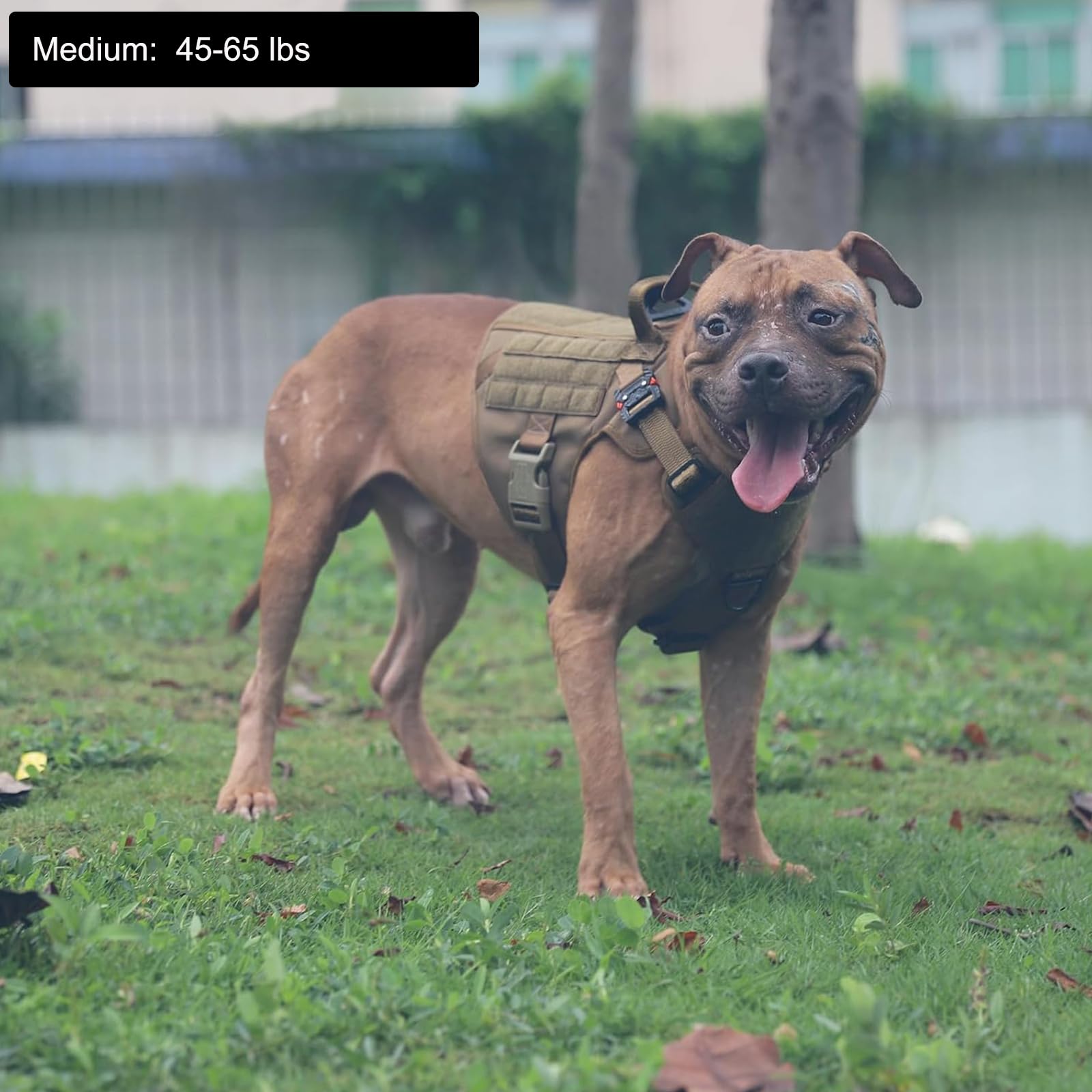 ICEFANG Tactical dog harness side with MOLLE panel for gear carry.