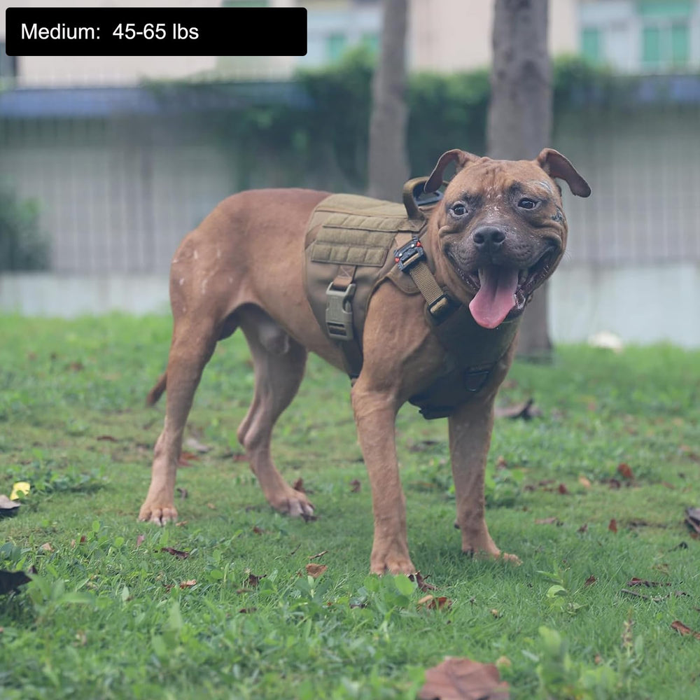 ICEFANG Tactical dog harness side with MOLLE panel for gear carry.