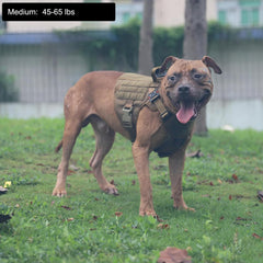 ICEFANG Tactical dog harness side with MOLLE panel for gear carry.