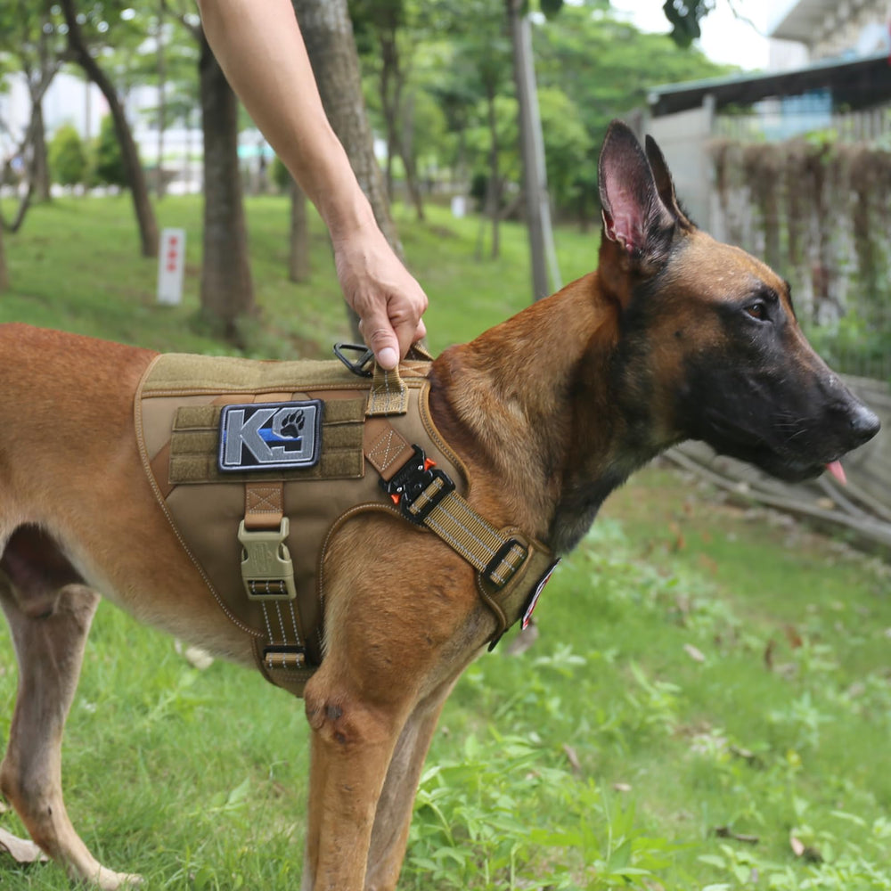 ICEFANG tactical dog harness side view showing MOLLE panels for gear.