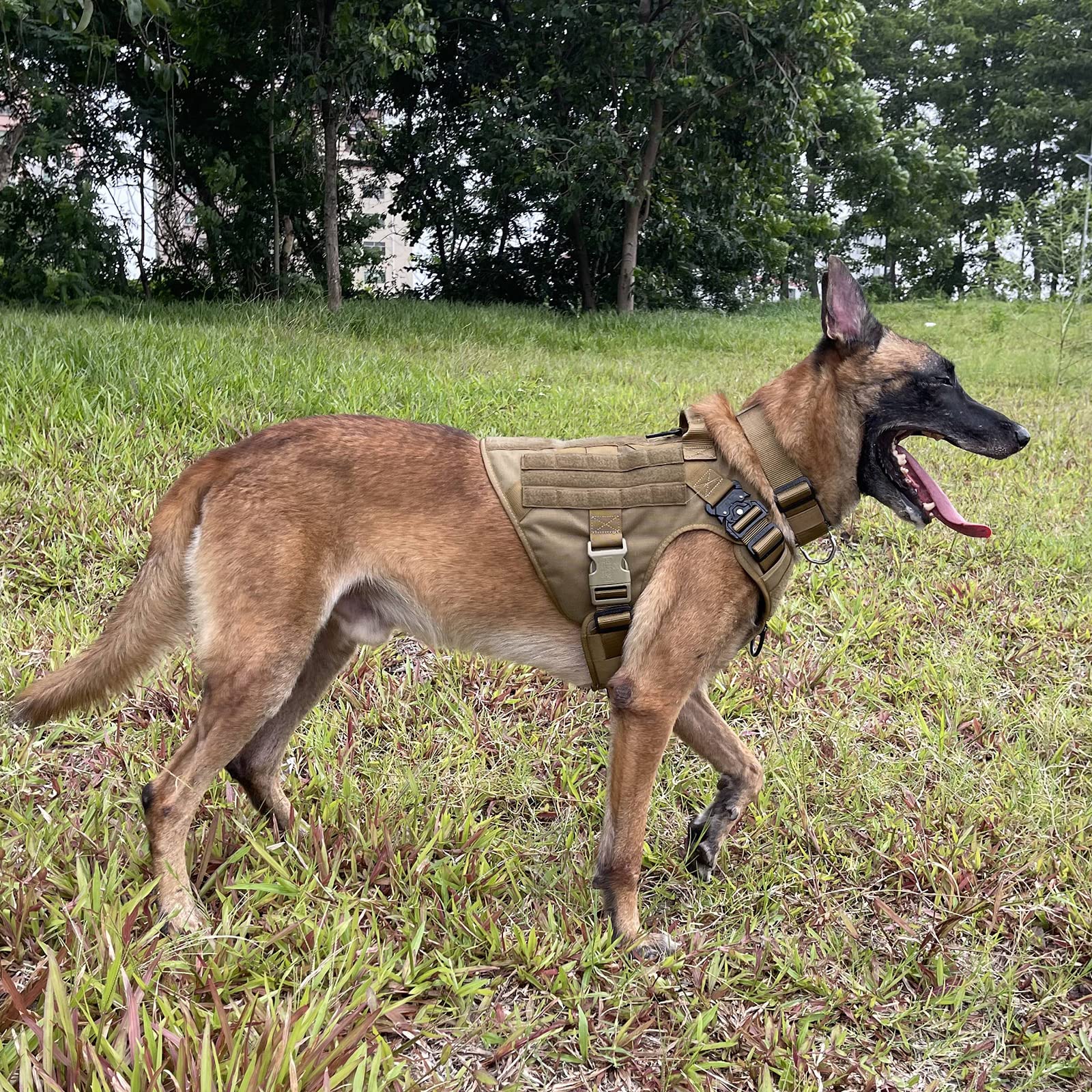 ICEFANG Tactical Dog Harness side view shows MOLLE panels for gear and patches.