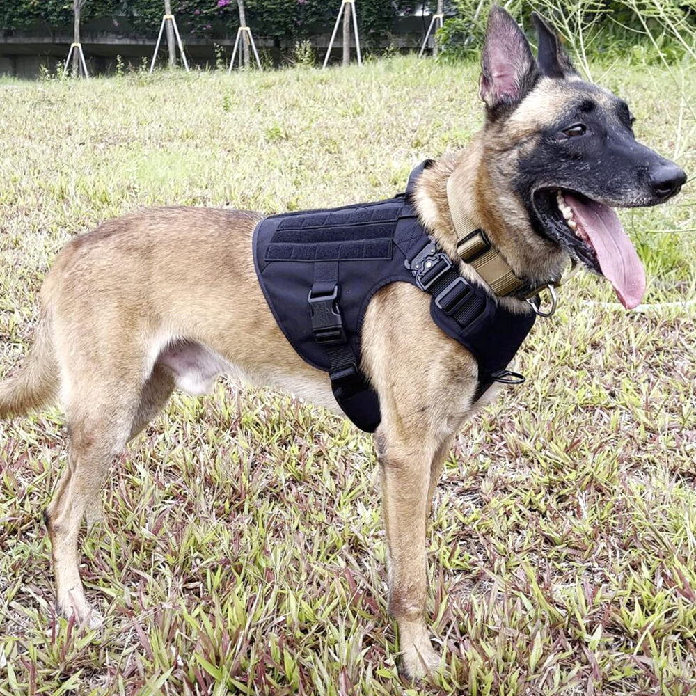 ICEFANG Tactical Dog Harness XL front view with patch panels for patches and IDs.