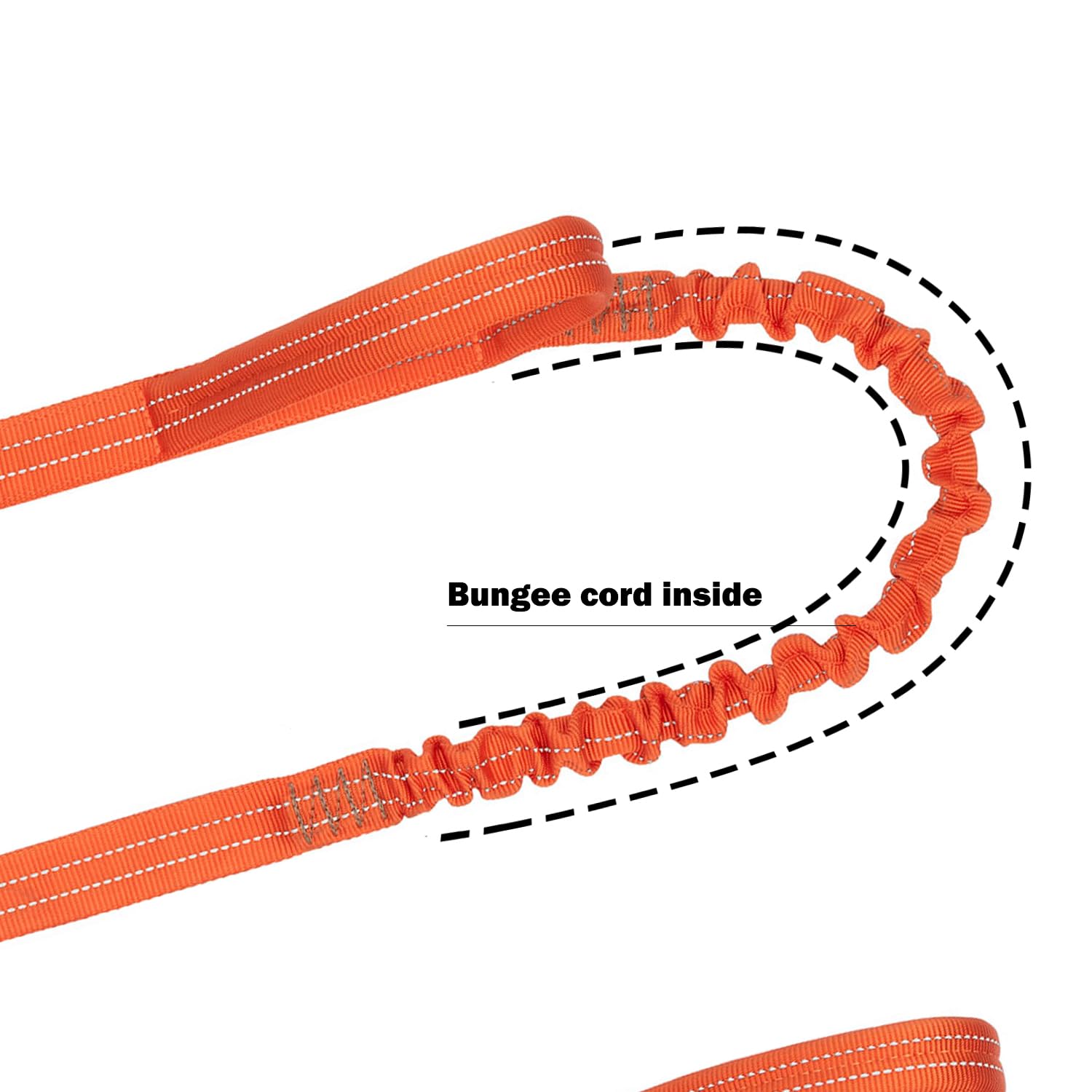 ICEFANG leash with D-ring for waste bag attachment and easy cleanup.