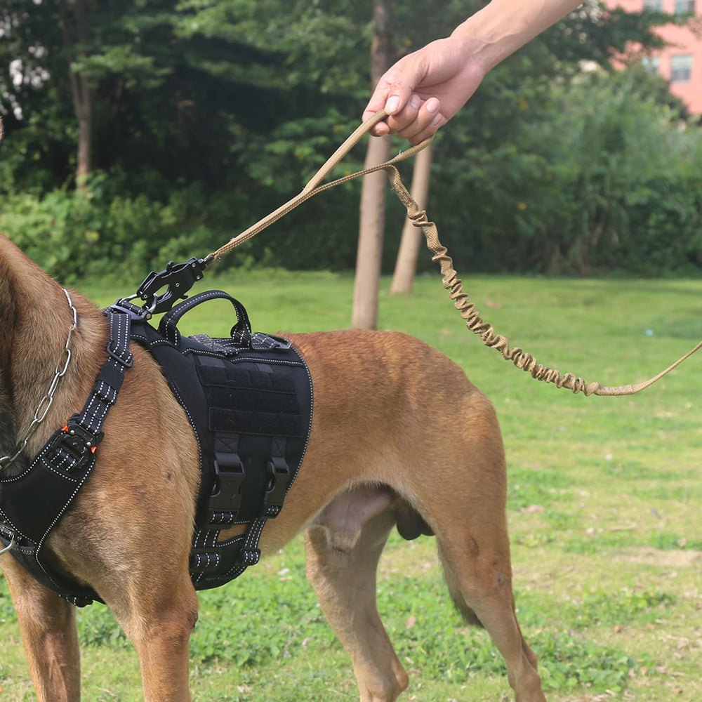ICEFANG leash with double handles for precise crowd control