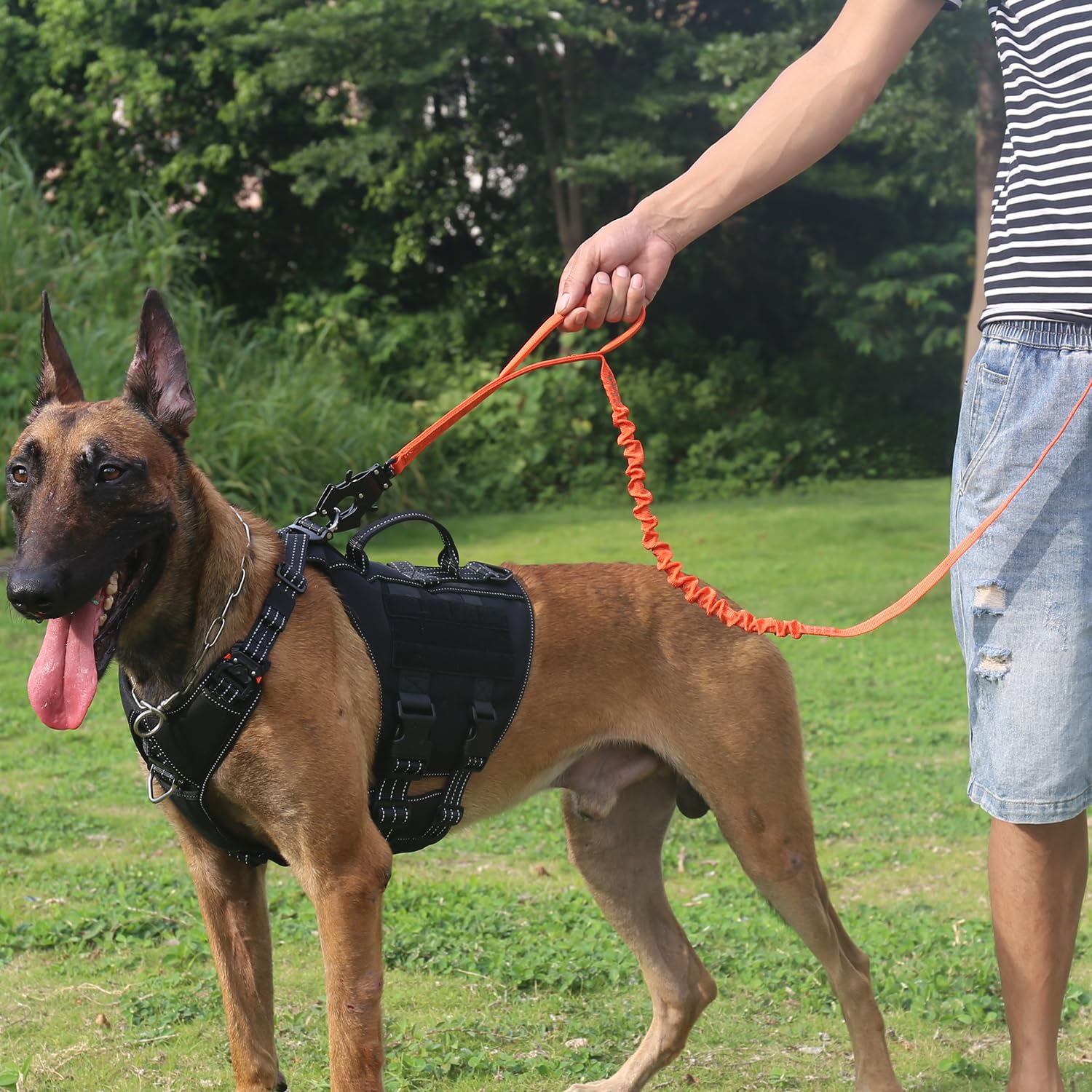 ICEFANG leash with front and rear handles for precise control in crowds.