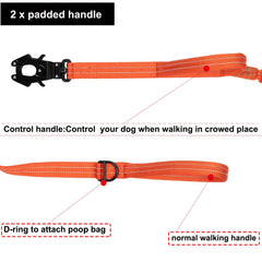 ICEFANG reflective nylon leash enhances nighttime visibility for safer walks.