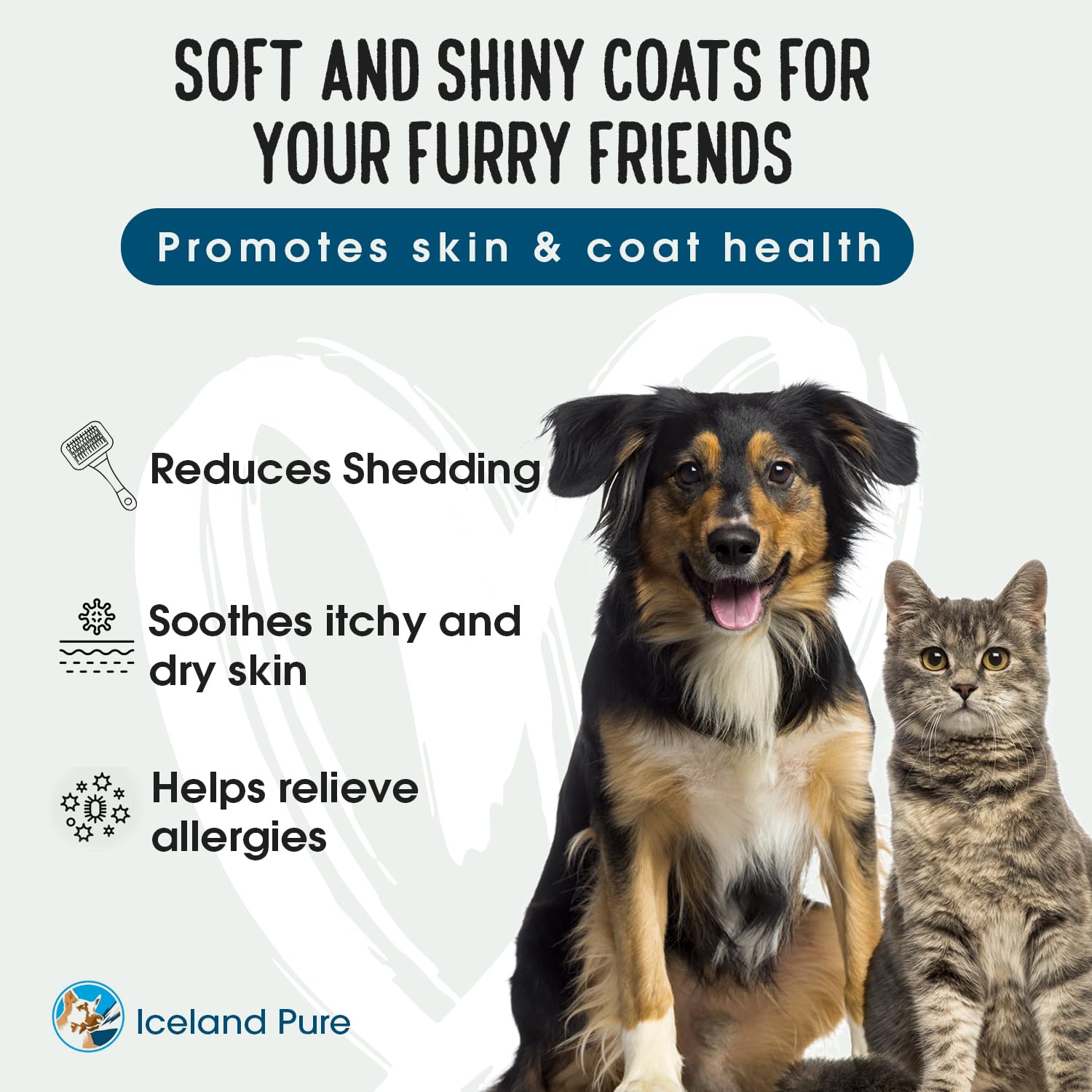 Iceland Pure Salmon Oil blends easily into cat meals for a nutritious boost.