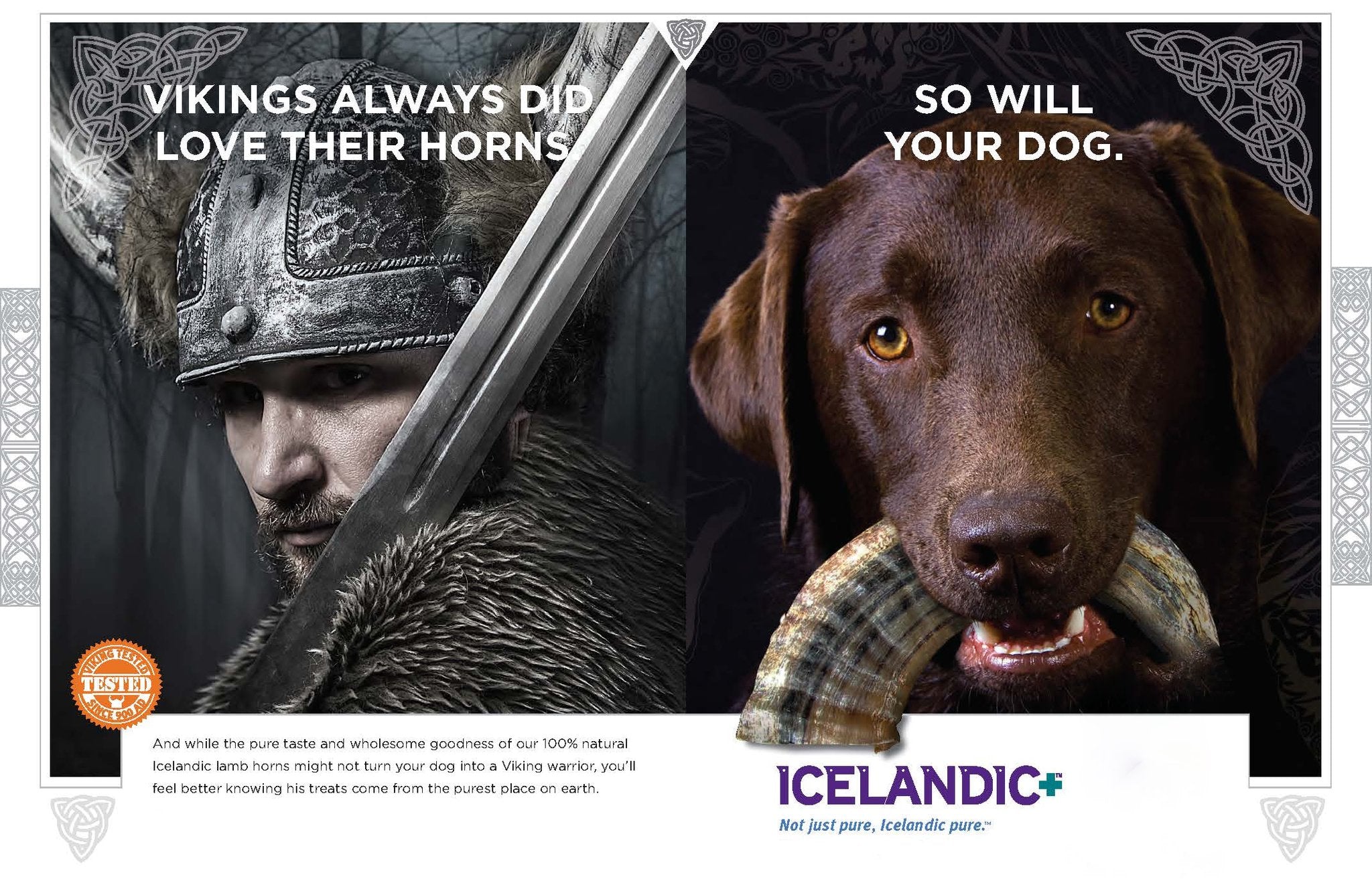 Icelandic+ Lamb Horn large 7-inch air-dried process, Viking inspired