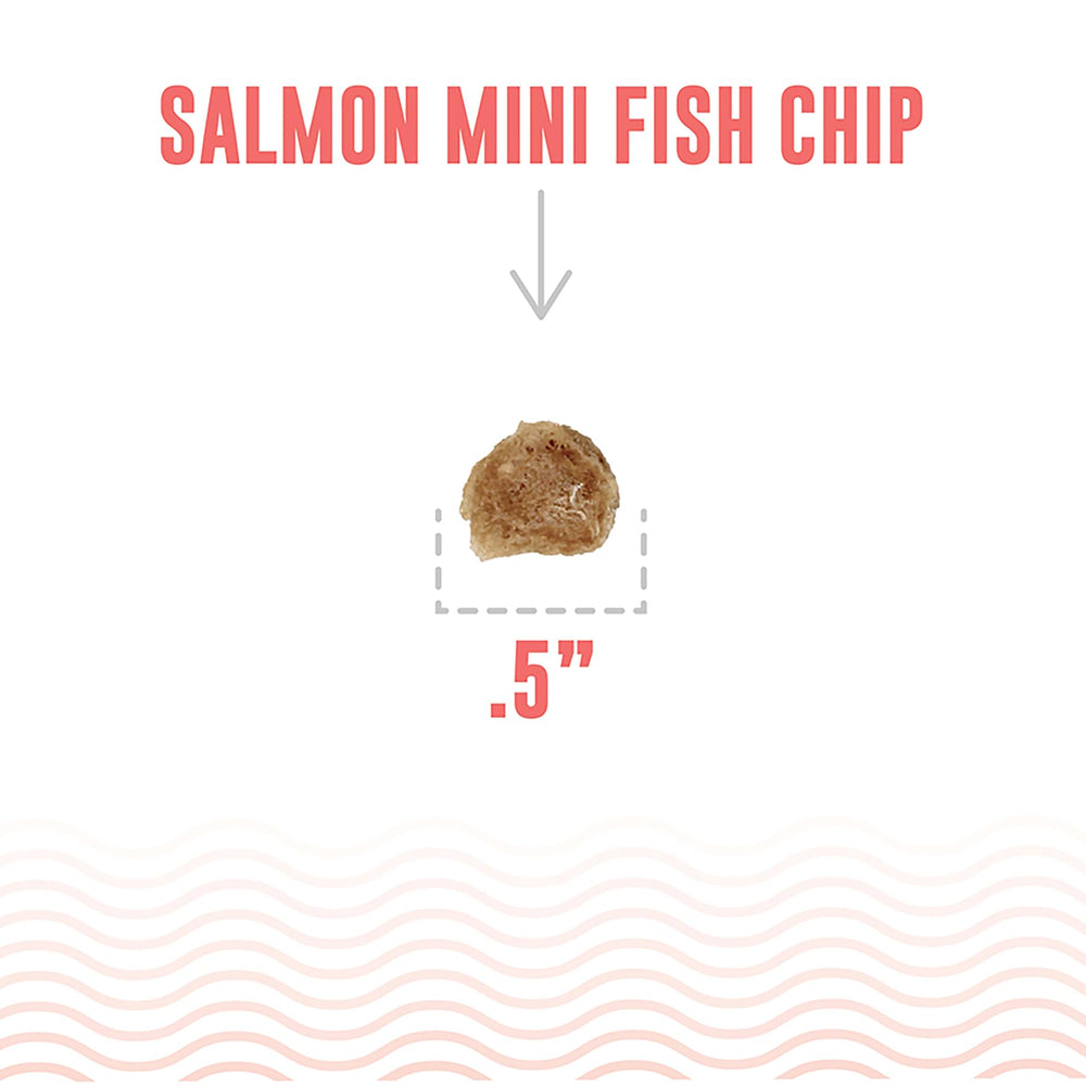 Icelandic+ Mini Fish Chips two-ingredient snack with no fillers and preservatives.