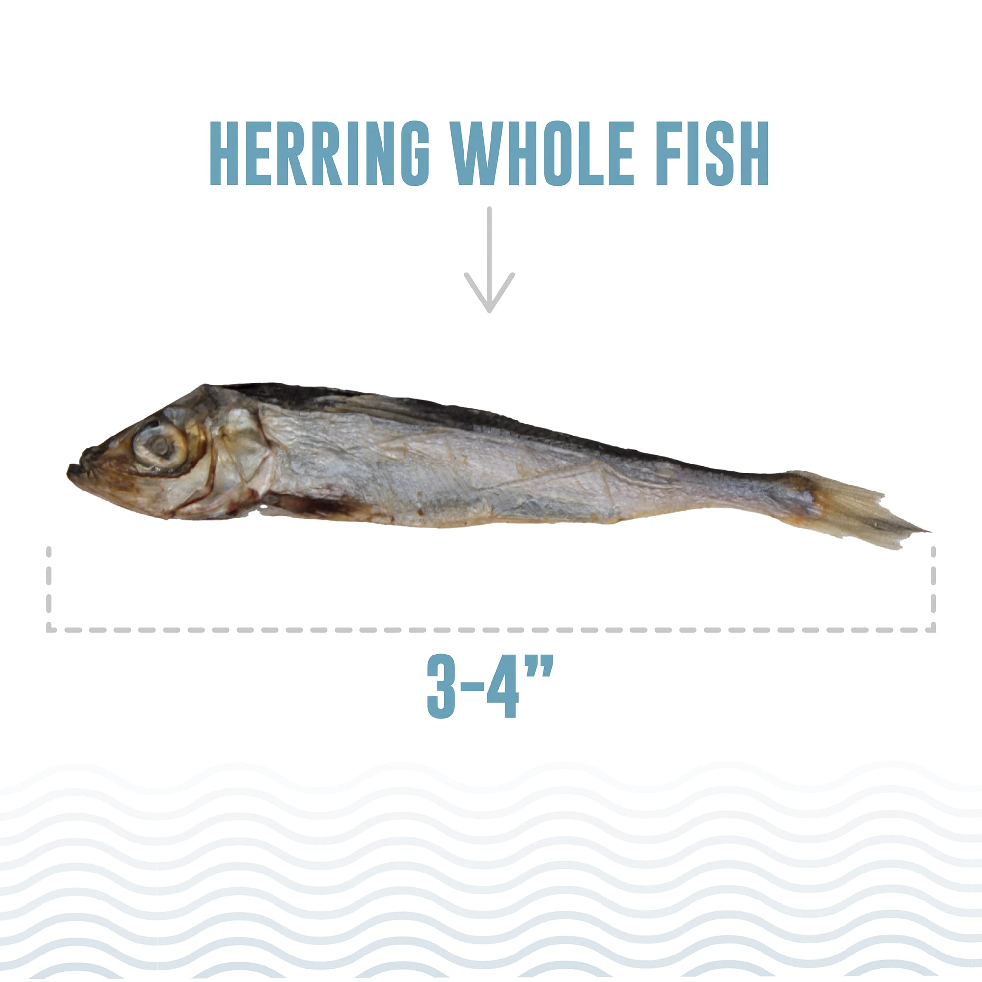Icelandic+ air-dried herring emphasizes a natural, crunchy texture ideal for dental-friendly treats.
