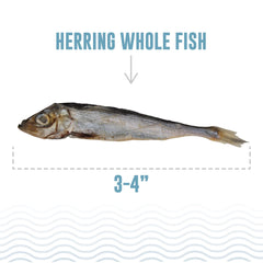 Icelandic+ air-dried herring emphasizes a natural, crunchy texture ideal for dental-friendly treats.