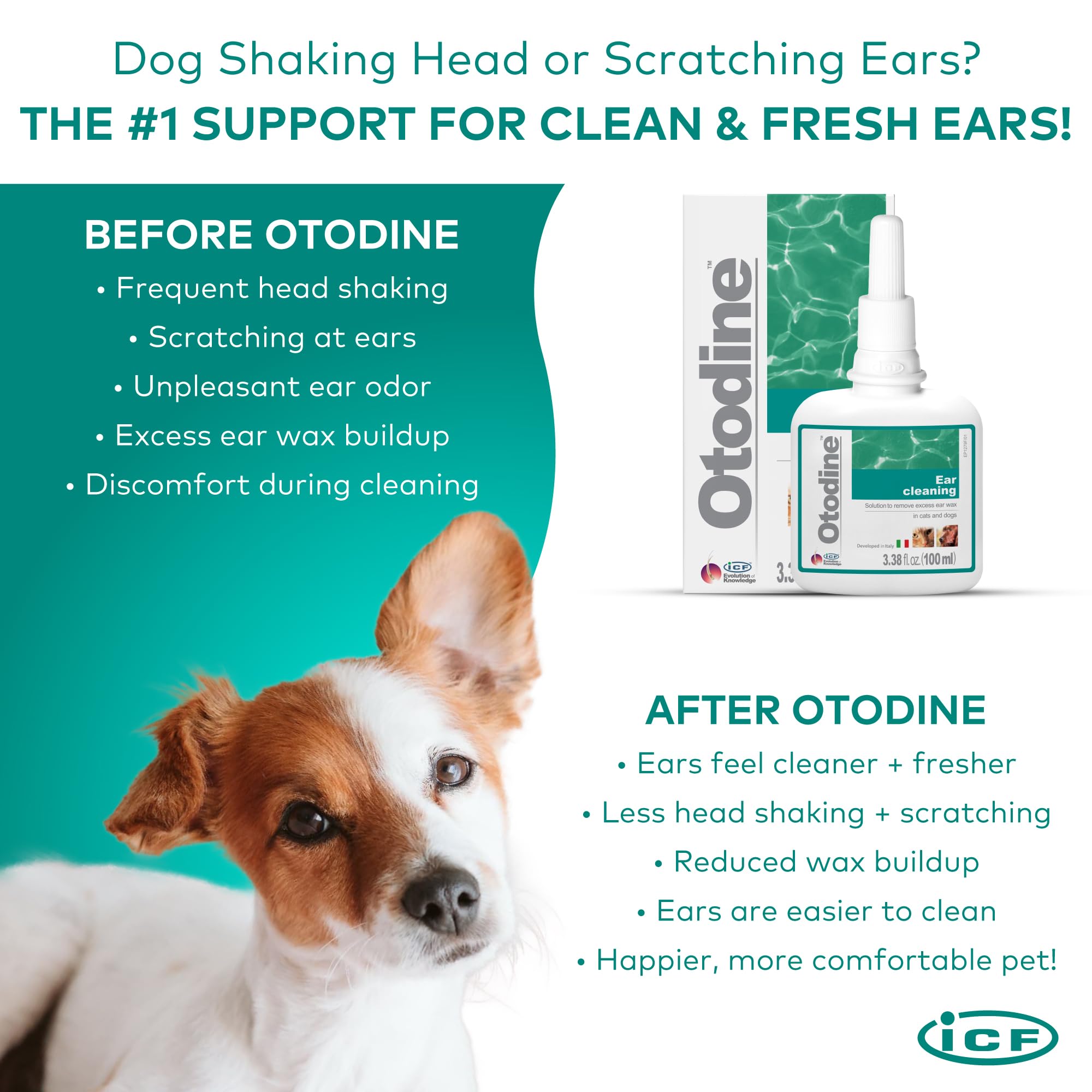 ICF Otodine drops being applied to a pet's ear.