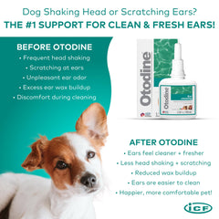 ICF Otodine drops being applied to a pet's ear.